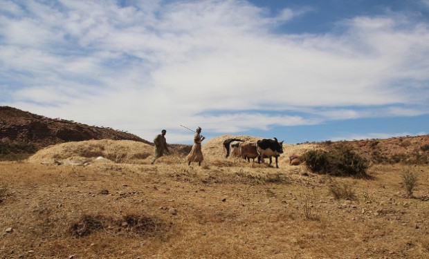 Tra Eritrea ed Etiopia è pace. E speranza di cambiamento   